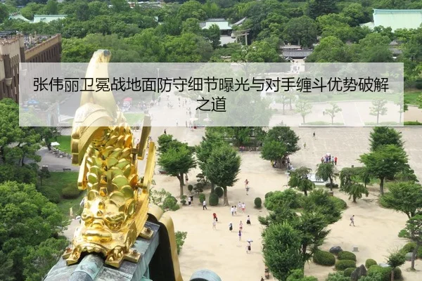 张伟丽卫冕战地面防守细节曝光与对手缠斗优势破解之道